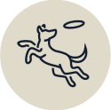 741710475-icono-3